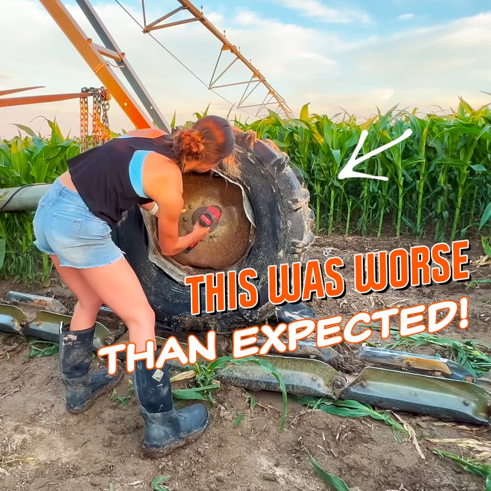 what time is trumps 4th of july show on