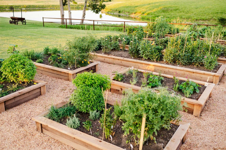 Try these easy tricks for a beautiful, low-maintenance garden