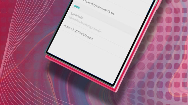 Smartphone screen displaying app version details