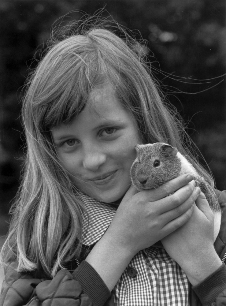 Lady Diana's life in pictures