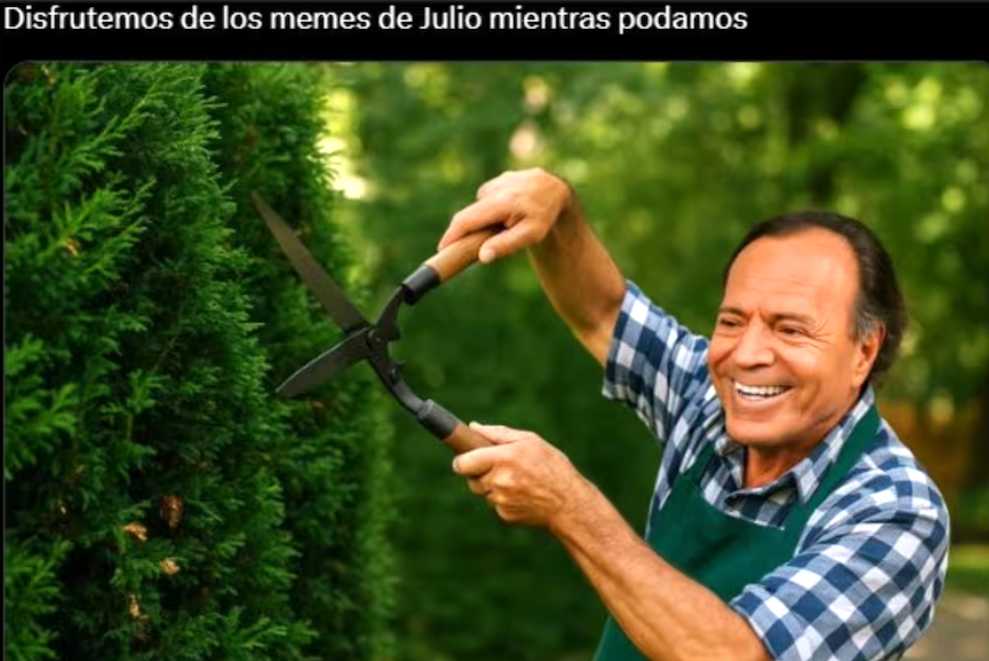 Los mejores memes de Julio Iglesias