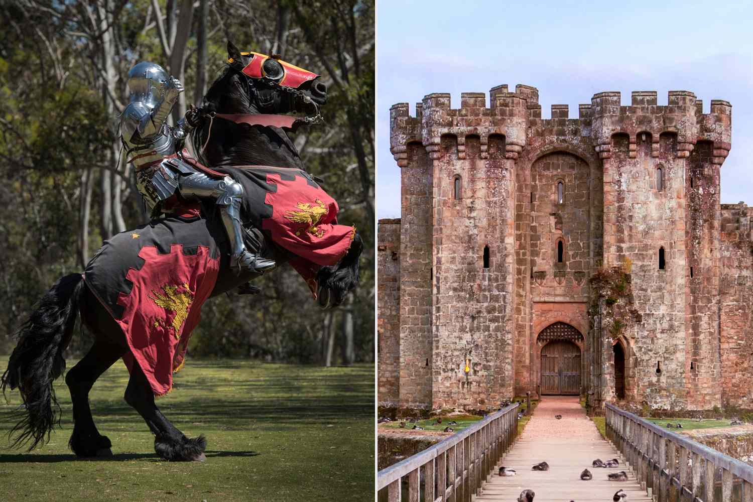 Man Dressed as Medieval Knight in Critical Condition After He's Stabbed ...