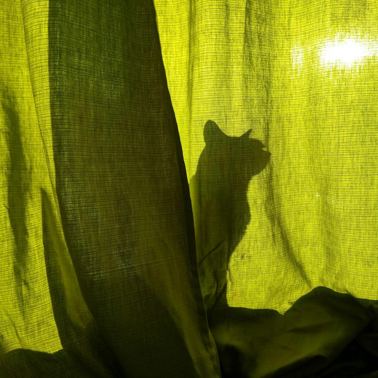 Behind Curtains: Watching Without Being Seen (image credits: unsplash)