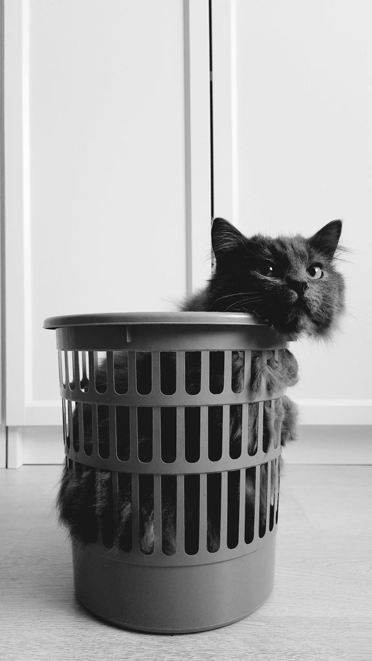 Laundry Baskets: Scent and Security (image credits: unsplash)