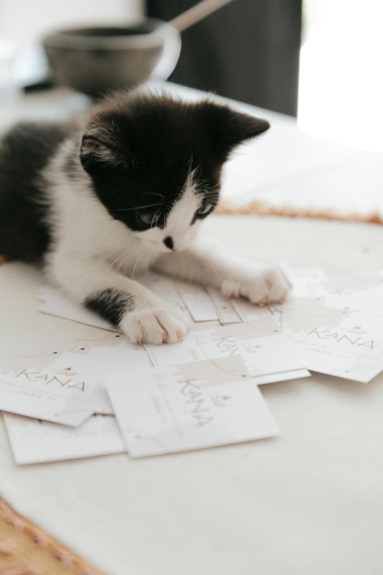 On Paperwork: Demanding Your Focus (image credits: unsplash)