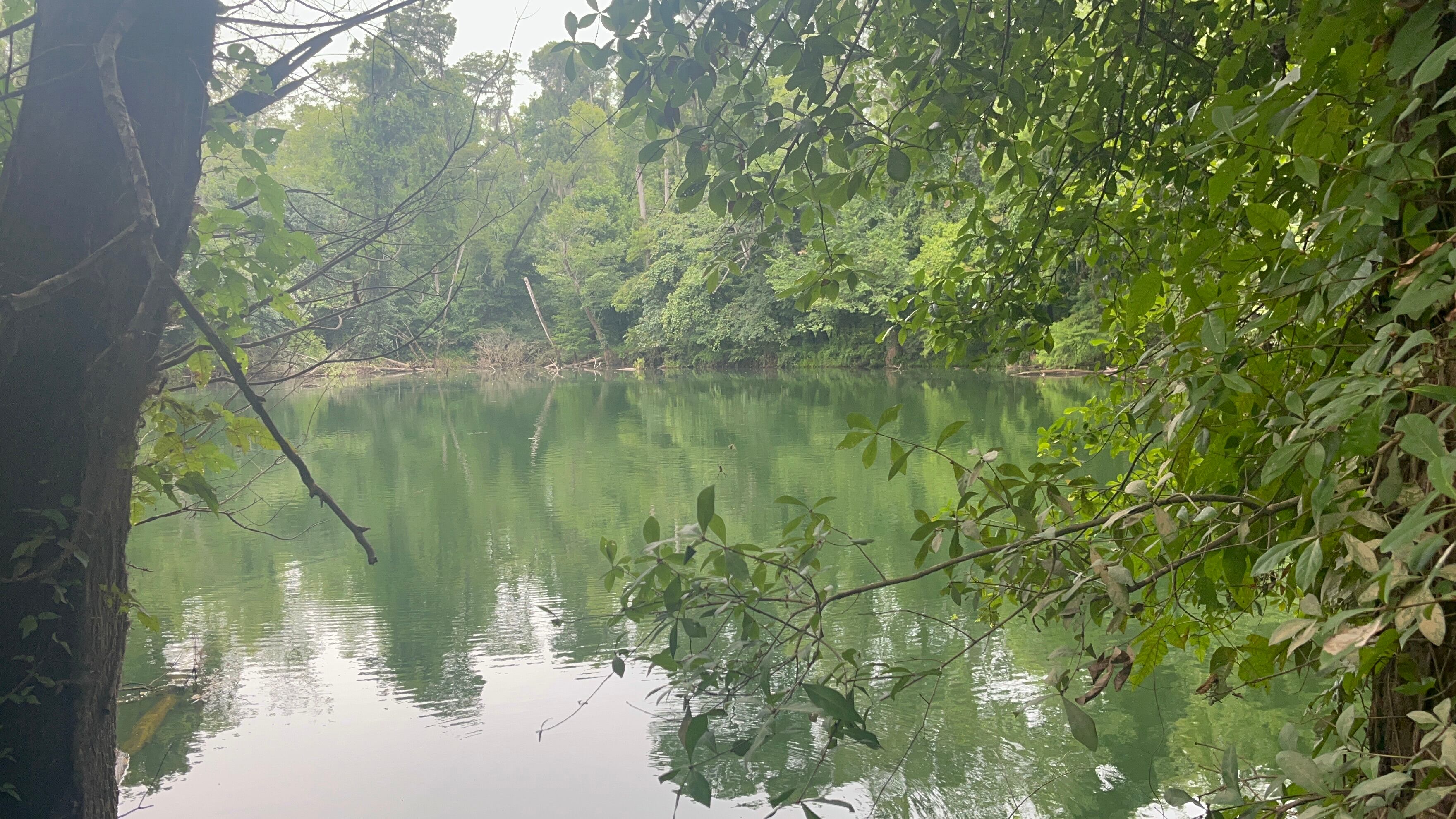 Florida environmental groups sue EPA over lack of new water standards