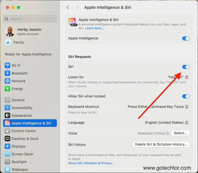 mac apple intelligence siri settings