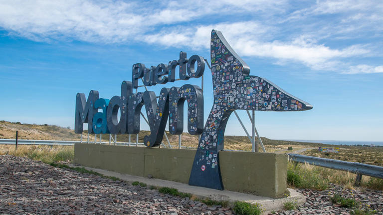 Argentina's Underrated Peninsula Is A Wildlife Lover's Dream With