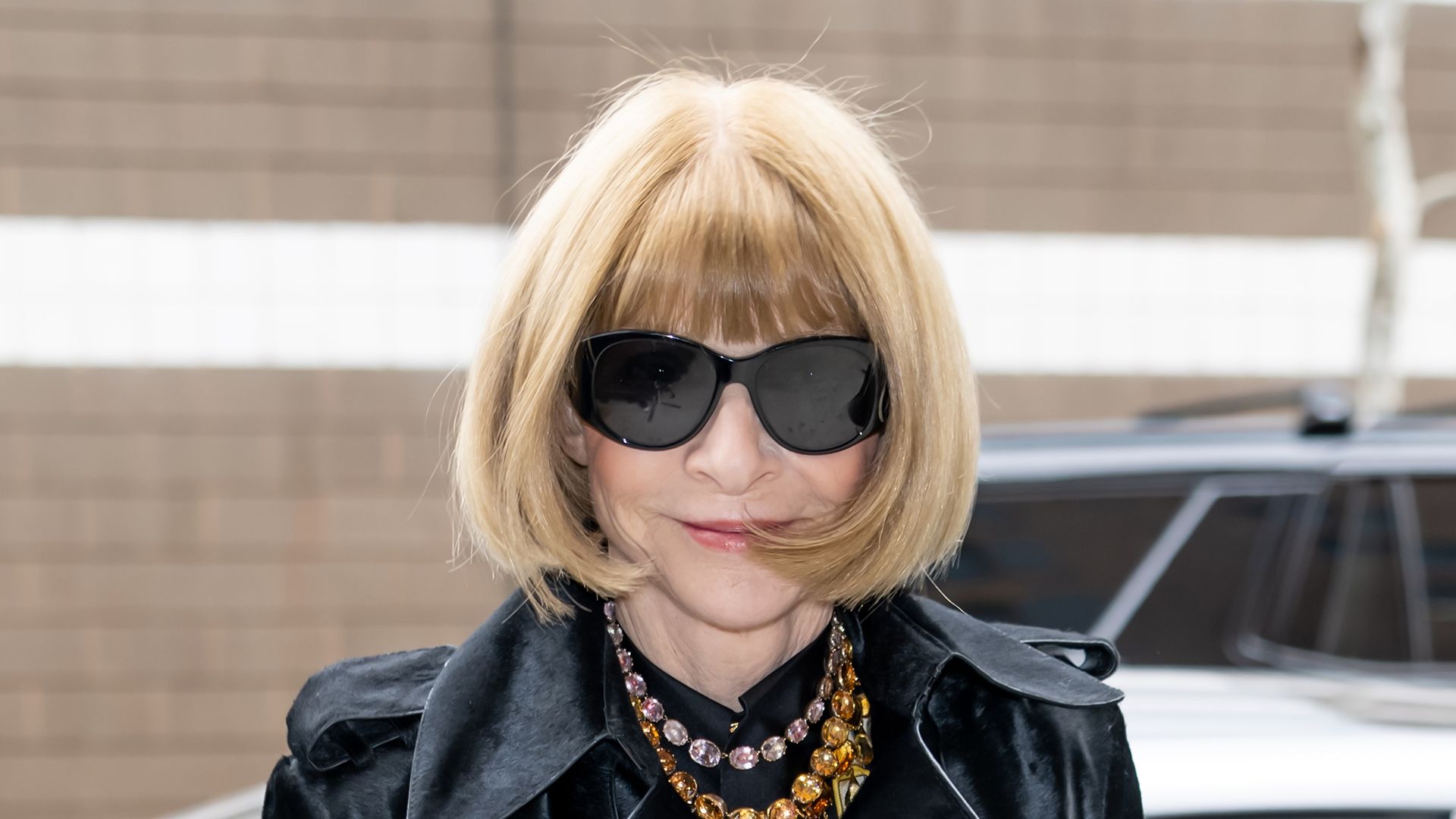 Anna Wintour's surprising colourclash real estate empire and very