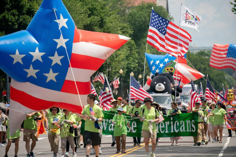 july 4th protest demonstration in washington