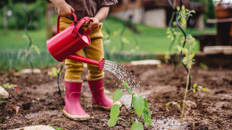 Child waters plants in garden