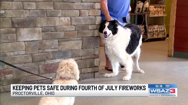 what to give dogs during 4th of july