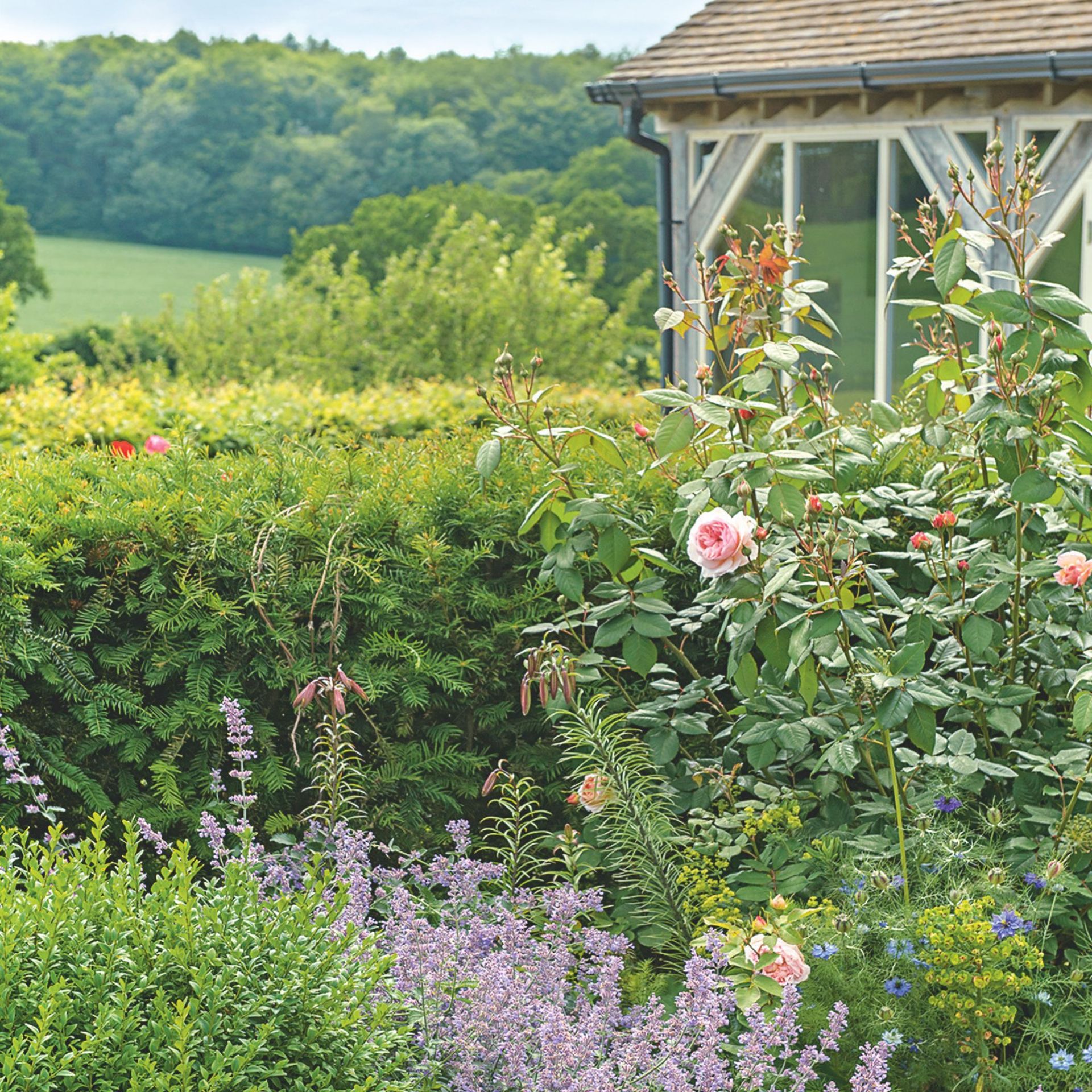 5 plants that bloom twice a year the varieties garden experts