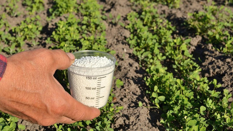 Don't Throw Out Those Old Measuring Cups — Use Them In The Garden Instead