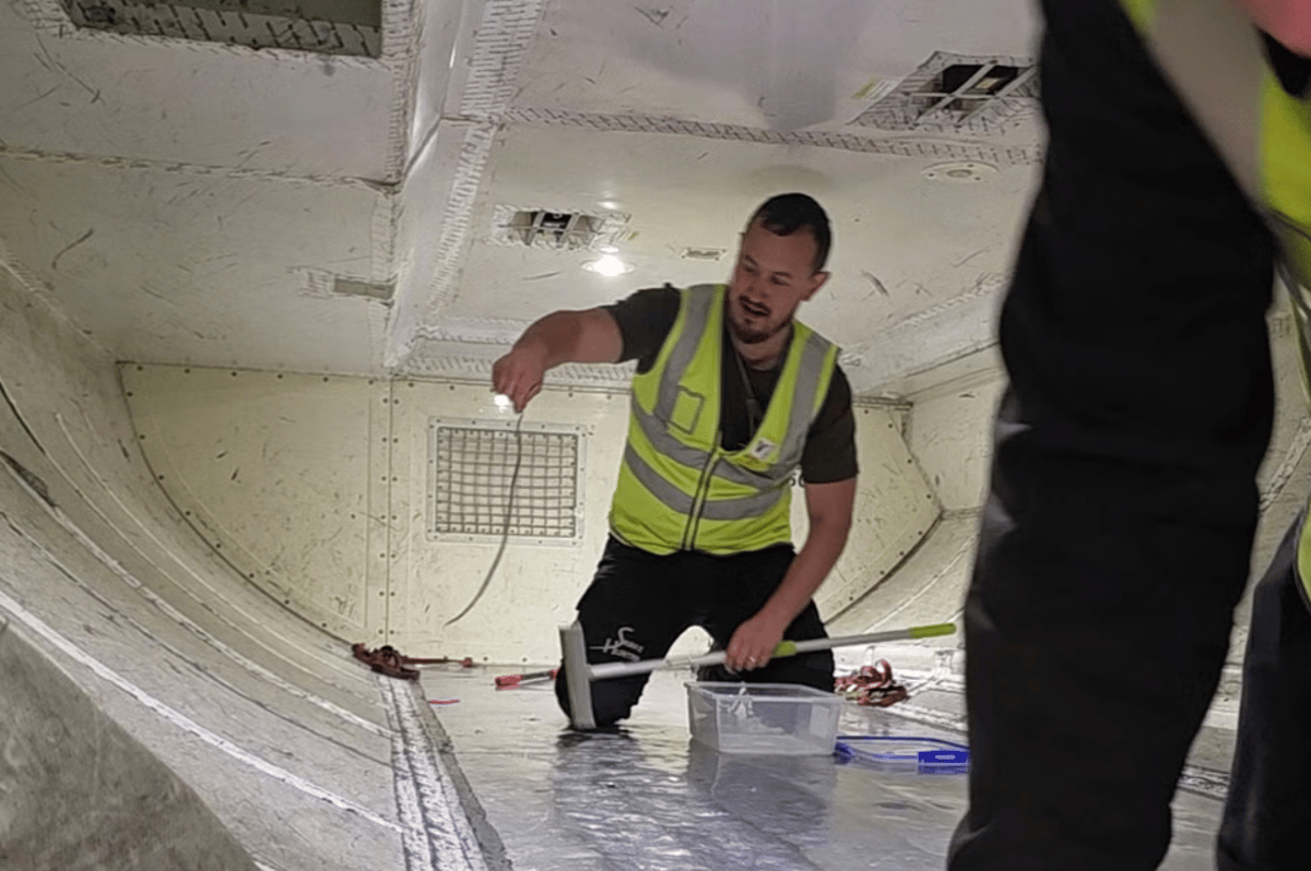 Snake on a plane! Flight delayed by two hours after 'dangerous looking