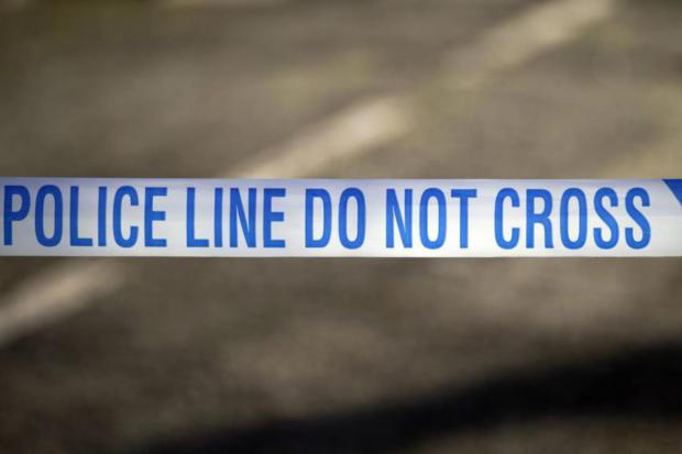 Elderly man who tragically died after being hit by car named by police