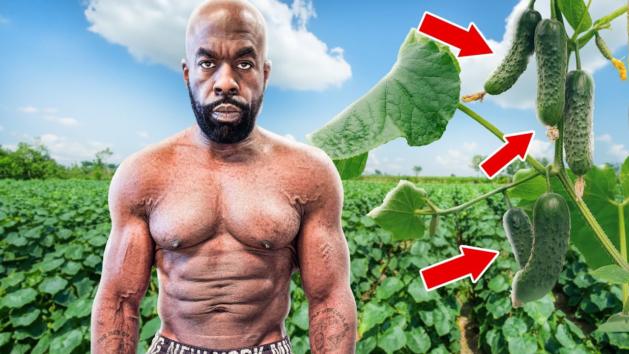 Eating only cucumber: Day 2 progress