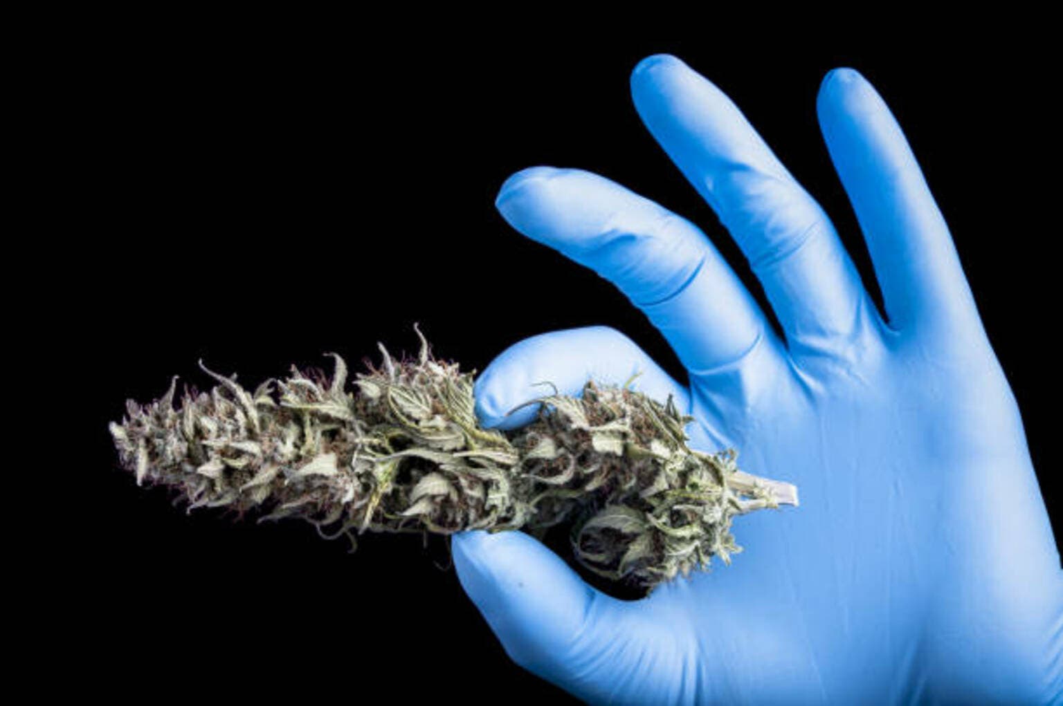 1 News Article Image Cronos erweitert internationales Engagement in der Schweiz