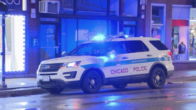 Goose Island crash leaves 4 injured, driver in custody