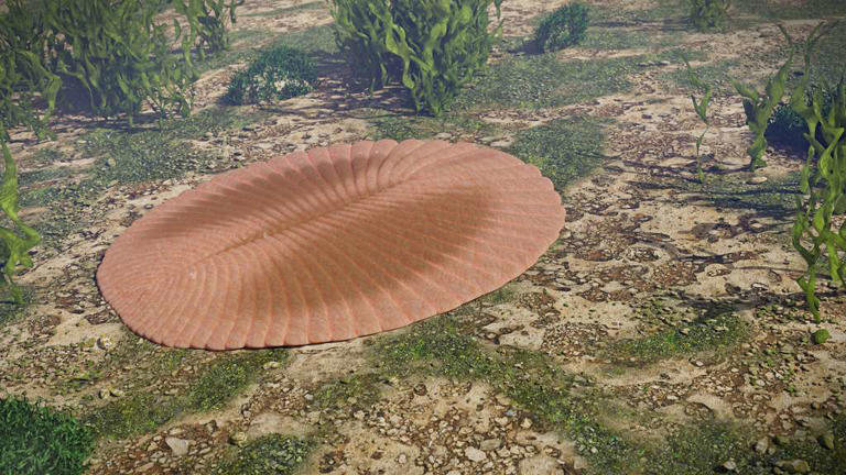 Dickinsonia est l'une des formes de vie étrange apparues durant l'Édiacarien. © dottedyeti, Adobe Stock