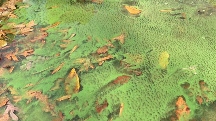 4th of july lake norman nc