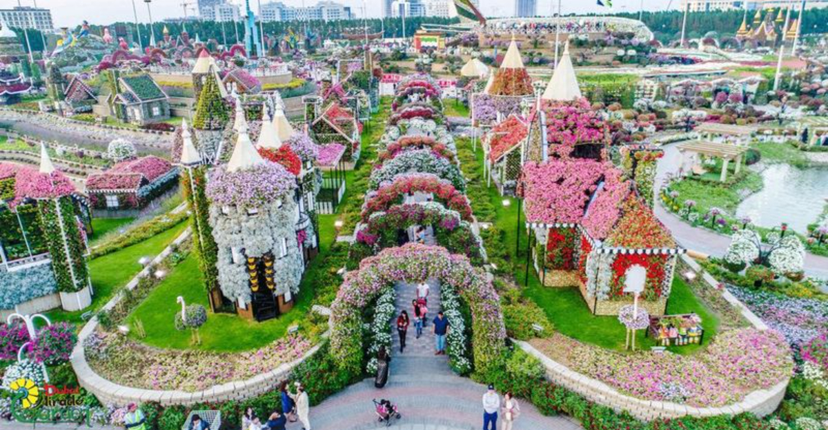 Miracle Garden Dubai Tour