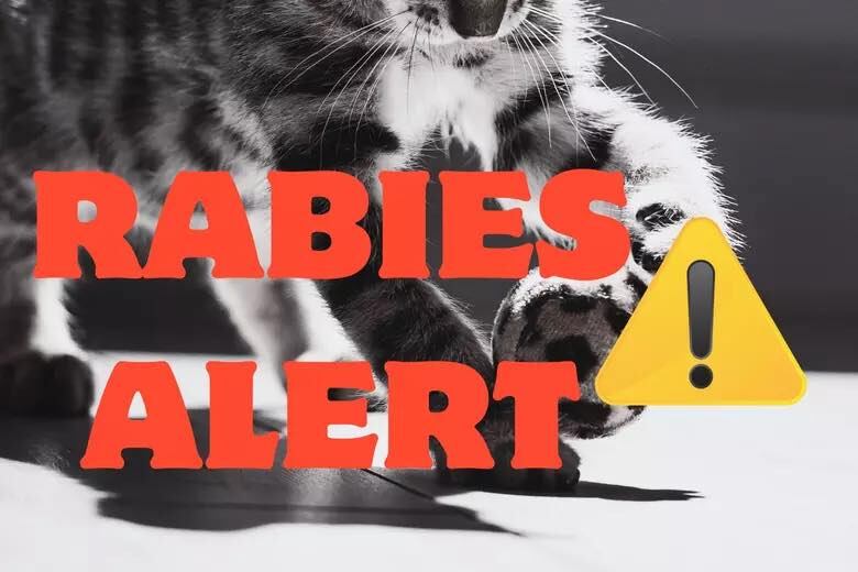 Rabies case confirmed in east Texas