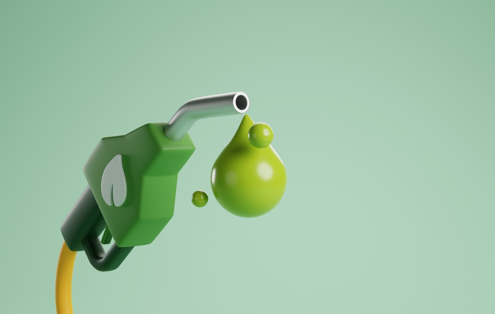 Mengapa bioenergi sangat penting bagi Nepal