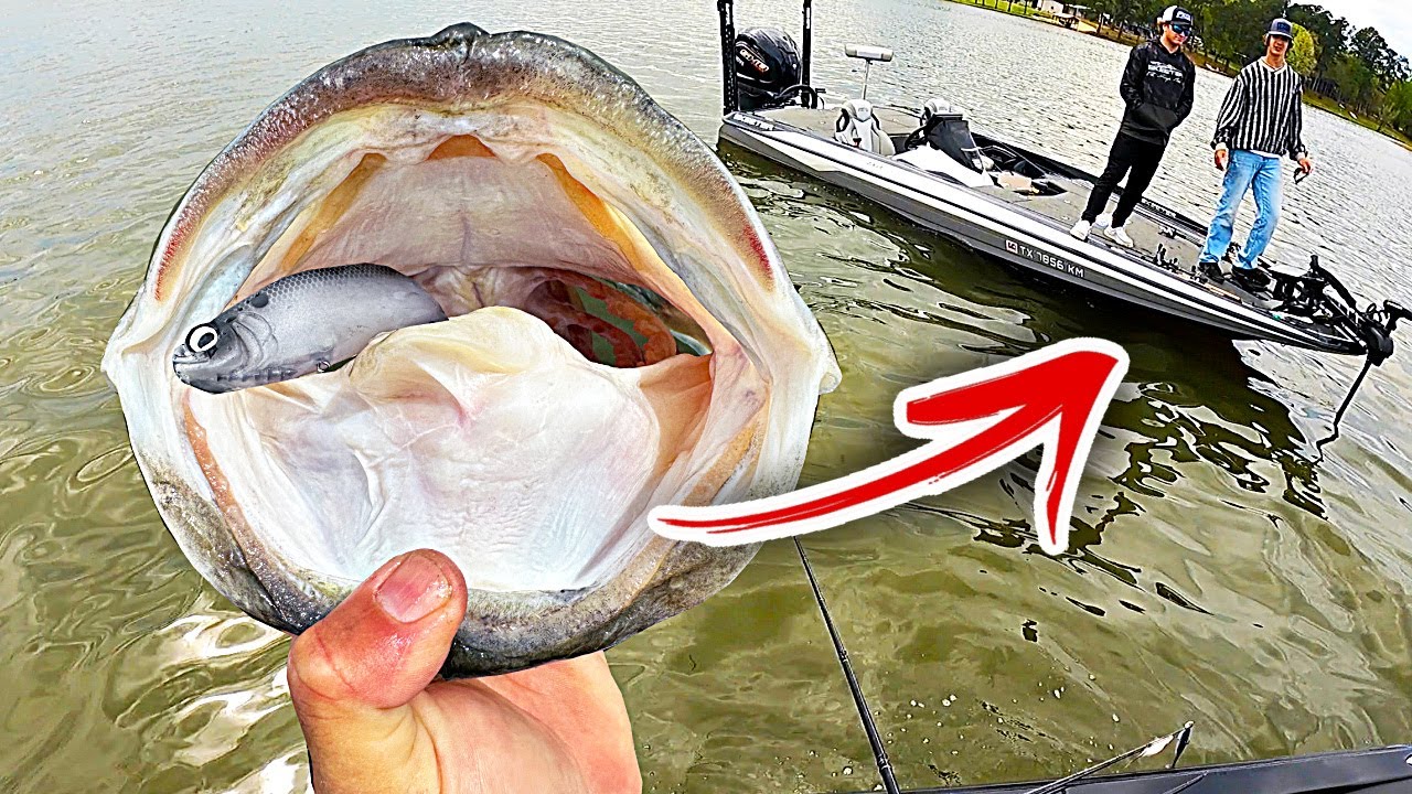 Violent encounter on water leaves angler completely speechless