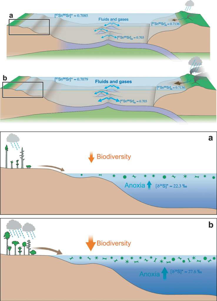 Une activité tectonique forte (b) favorise le développement d'un océan anoxique et donc une baisse de la biodiversité. © Boulila et al. 2025, Communications Earth and Environnement