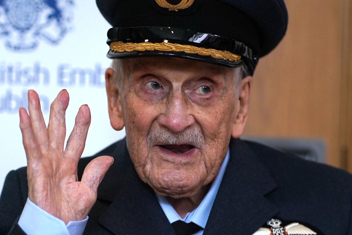 Portrait of last Battle of Britain pilot handed over at National Museum