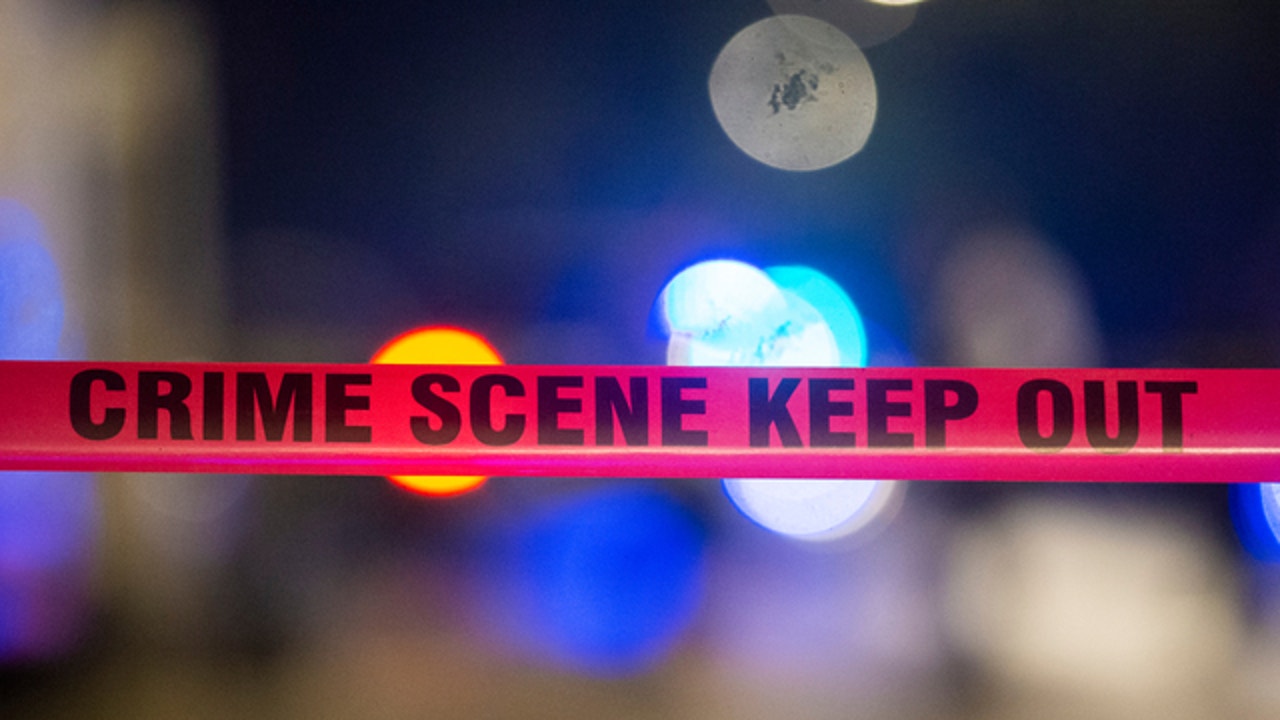 Man, 24, found shot to death on Chicago's South Side