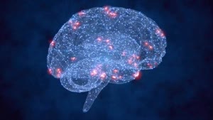 How Your Brain Shape Can Influence Your Thoughts and Behaviors