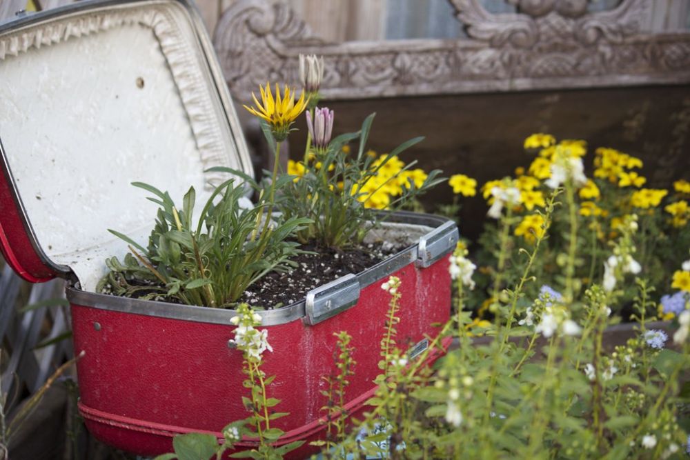 17 Container Garden Ideas for Small Spaces