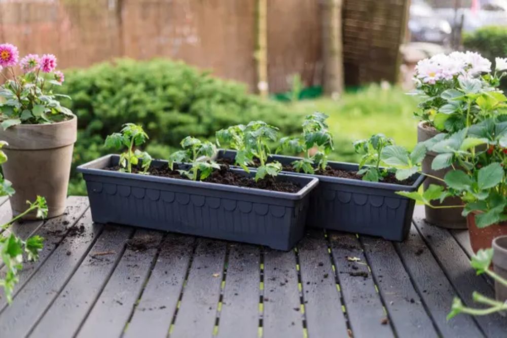 17 Container Garden Ideas for Small Spaces