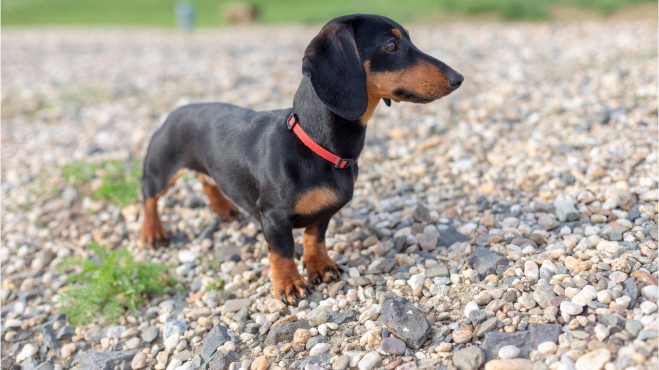 fourth of july celebrations in dc