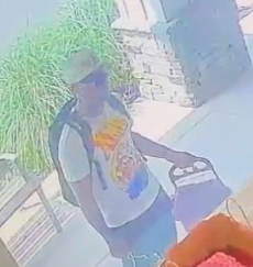 Man steals $400 in stuffed animals from front of TJ Maxx on Long Island