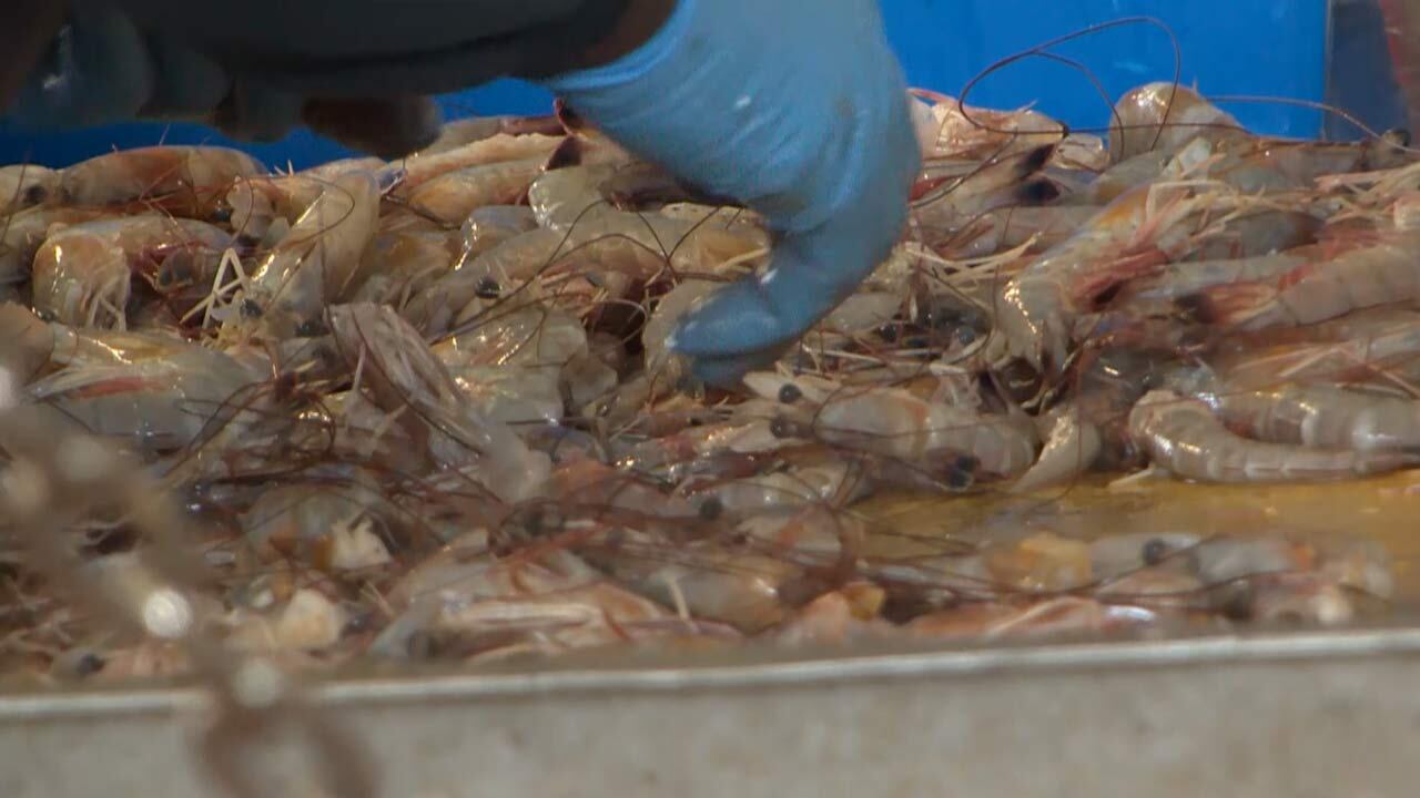 SC shrimpers group names 25 restaurants accused of ‘shrimp fraud’(00)