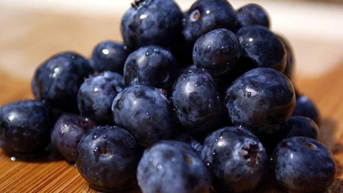 FDA Issues HighestLevel Recall for Organic Blueberries Over Listeria