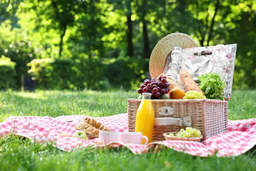 17 Picnic Recipes That Travel Well Anywhere 17 Picnic Recipes That Travel Well Anywhere