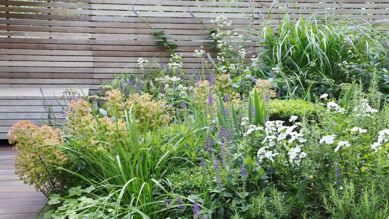 I gardened professionally for a decade, and if I were starting my ...