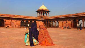 Indian Muslims must face the truth—Muslim countries don’t care about them