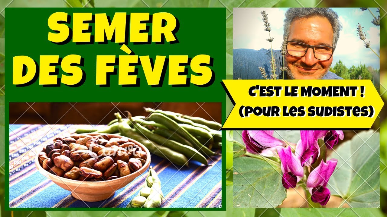 Semer des Fèves au Jardin PotagerSemer Des Fèves au Jardin Potager — free download
