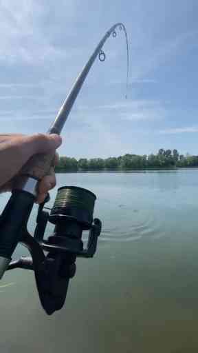 Fishing Goes Viral Carp Rig Montage That’s Making Waves