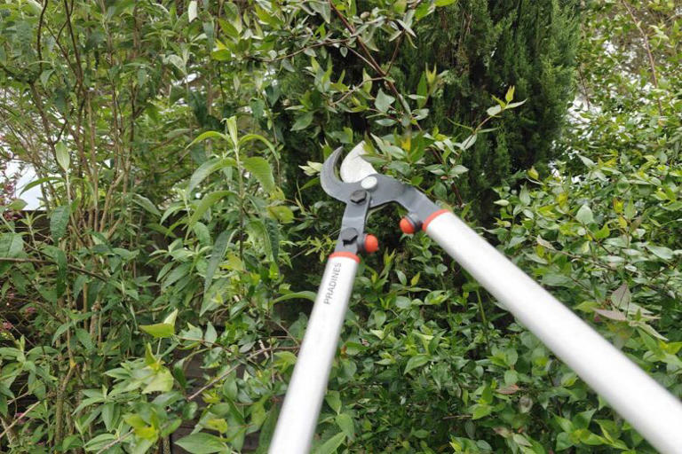 Comment Faire Chier Son Voisin