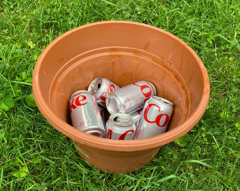 My Mom Has Been Burying Diet Coke Cans In Her Flow…