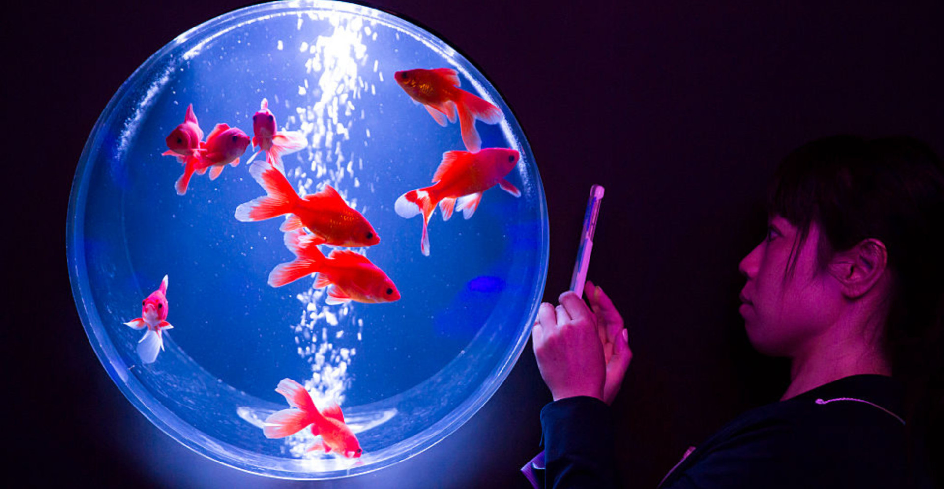 30 misvattingen die moderne &lsquo;feiten&rsquo; zijn geworden