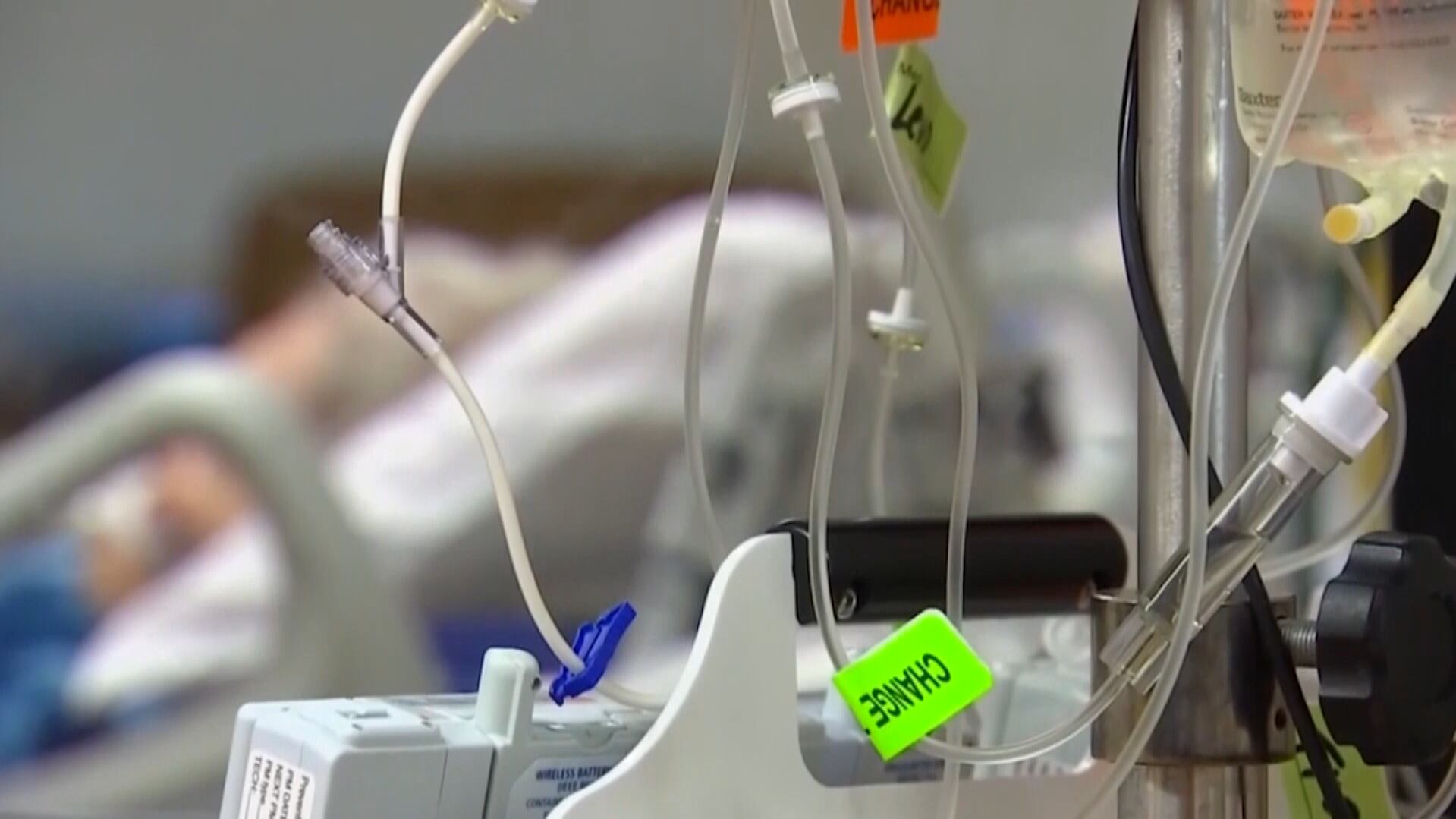 4th of july in charleston boat