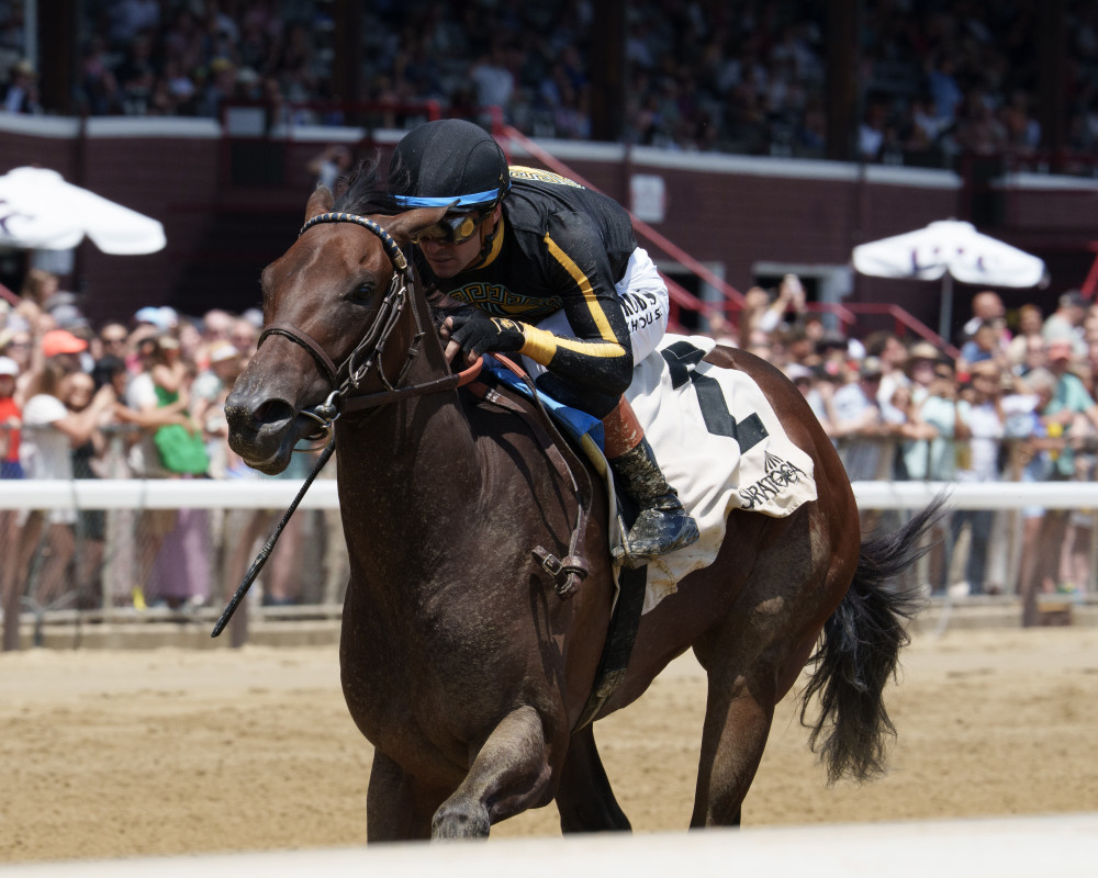 Stakes Runners Comport, Kingsolver Lead Ellis Park Juvenile And Debutante