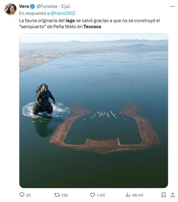 Los memes más creativos de la imagen viral de Texcoco. Foto: Captura de pantalla
